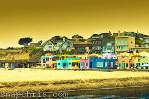 谁能推荐下的免费用虚拟号码发短信