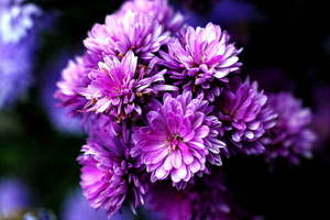 炸你妹在线轰炸